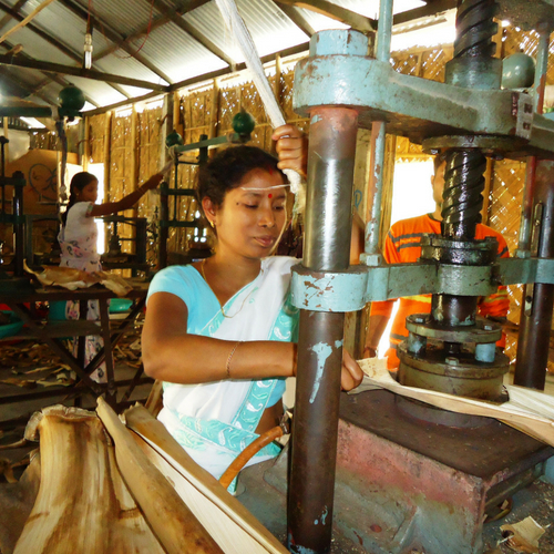 areca-leaf-products-manufacturing-1