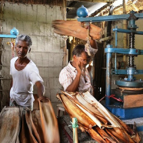 areca-leaf-products-manufacturing-2