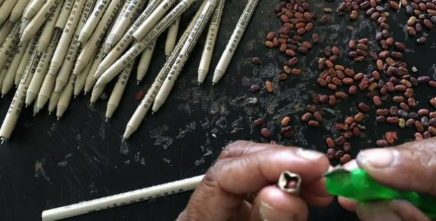 made-using-green-Seed-Pencils-which-grows-into-plant-Plantable-newspaper-pencils